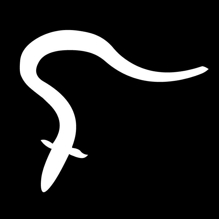 ステッカー うなぎ 海の生き物/おしゃれステッカー/アクリルプレート/パーテーション/車/ガラス/窓/装..