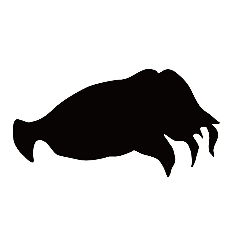 ステッカー いか コウイカ かっこいい クール/おしゃれステッカー/アクリルプレート/パーテーション/車..