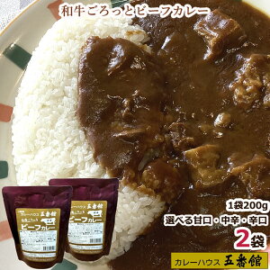 【2個セット】レトルト 甘口 カレー レトルトカレー セット 辛口 中辛 選べる レトルトカレー通販 高級レトルトカレー レトルトカレーセット レトルトカレーギフト ご当地カレーセット 美味しい カレーセット 欧風 レトルトビーフカレー 食べ比べ 和牛カレー ギフト