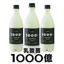 麹醇堂 1000億プリバイオマッコリ 750ml×3本【賞味期限2024年5月21日】