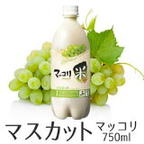 ޥåȥޥå750ml Ʋʥåƥޥå ޥạ̊ ޥå