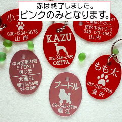 https://thumbnail.image.rakuten.co.jp/@0_mall/5endama/cabinet/maigo/arm_daen_dog1_pk.jpg