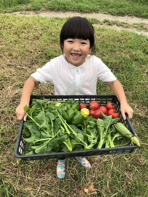 新鮮な京都のお野菜　おまかせ詰め合せ(Mサイズ) 3