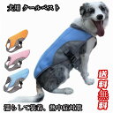 犬用 クールベスト COOLベスト 犬の服 冷感 冷却 お散歩用 熱中症対策グッズ 程よいひんやり感 涼しい