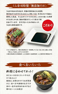 うなぎの蒲焼12食セットくら寿司無添加送料無料うな丼カット蒲焼小分け肉厚山椒うなぎのタレ炭火焼お中元ウナギ鰻ギフトプレゼント父の日土用の丑の日お祝内祝誕生日グルメ魚介