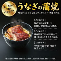 うなぎの蒲焼12食セット