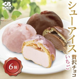 くら寿司 シューアイス 「いちご／贅沢チョコ」（6個セット）スイーツ デザート おやつ 個包装 冷凍