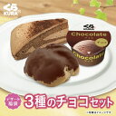 3種のチョコセット  スイーツ 福袋 ケーキ アイス