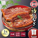 【楽天お買い物マラソン】【ポイント10倍】【2025 くら寿司 土用の丑】【二の丑7/31(木)用・赤だし1袋付】 冷蔵 チルド 愛知県産 活うなぎ 1尾セット 120g以上/尾 ※8/1(金)・8/2(土)に届く場合がございます。 うなぎのたれ 山椒付