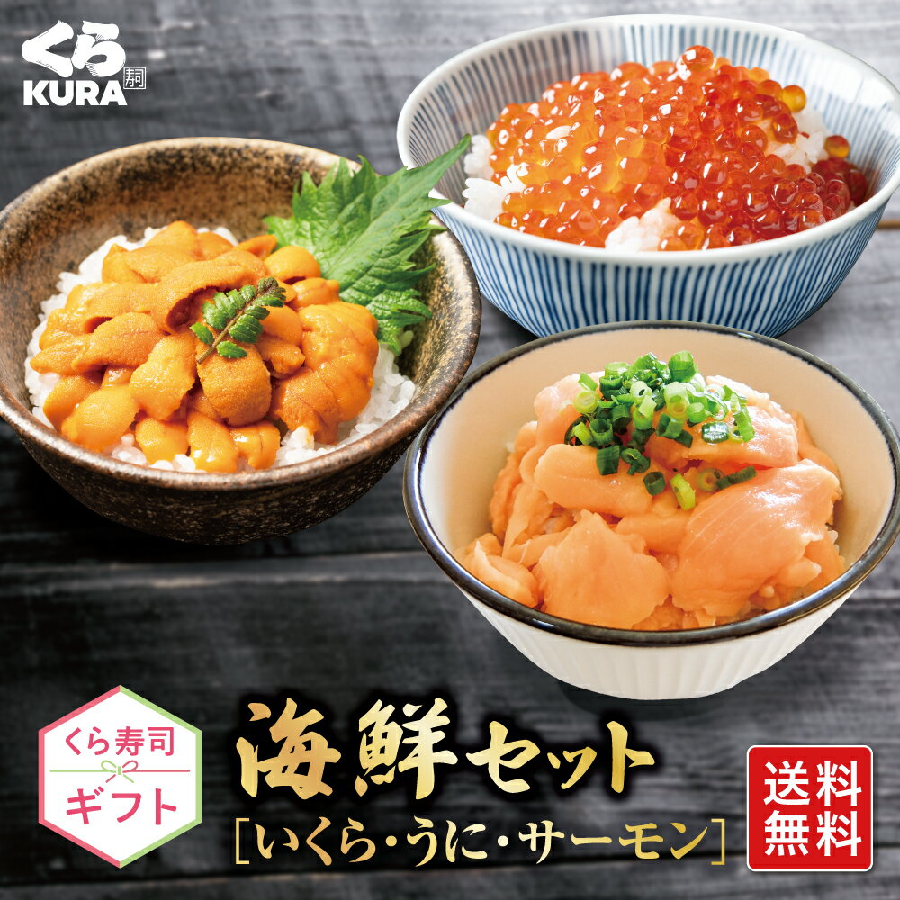 【8/31(日)まで10％OFFクーポン】【くら寿司 ギフト】海鮮セット [B:いくら60g×2・うに100g・サーモン120g×2] 送料無料 プレゼント 御祝 贈答 のし対応 ギフトBOXのサムネイル