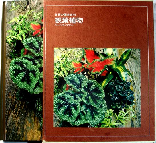 【中古】世界の園芸百科 観葉植物 グリーンライブラリー5