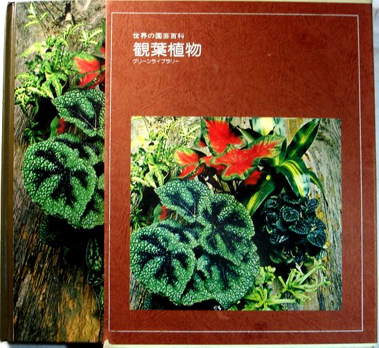 【中古】世界の園芸百科　観葉植物　グリーンライブラリー5