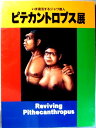 【中古】ピテカントロプス展　いま復活するジャワ原人