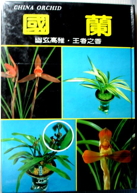 【中古】国　蘭　（中国語）