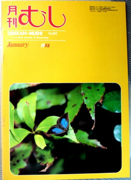 【中古】月刊　むし　1988年1月号