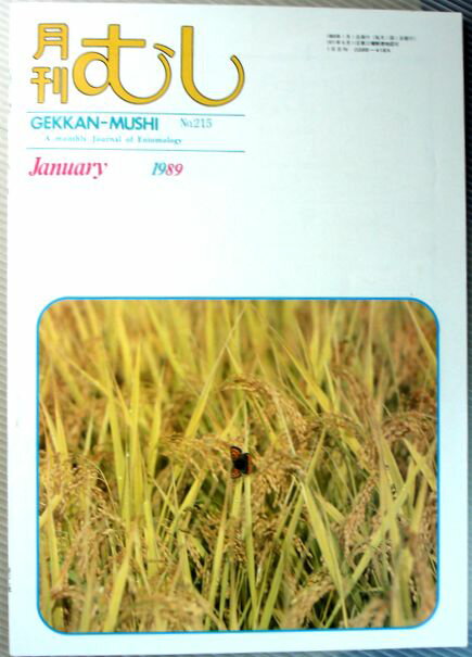 【中古】月刊　むし　1989年1月号