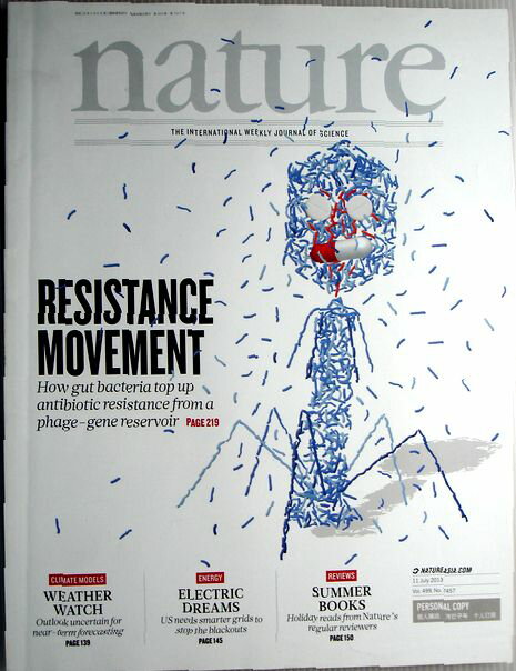 【中古】nature　2013年7月11日号