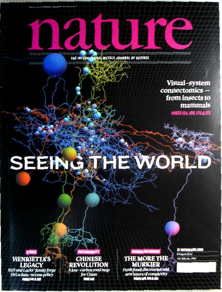 【中古】nature　2013年8月8日号