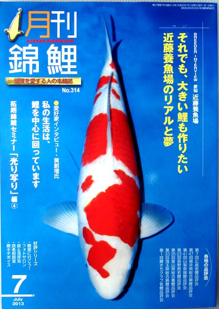 【中古】月刊 錦鯉 2013年7月号 No.314◆近藤養魚場◆錦鯉セミナー