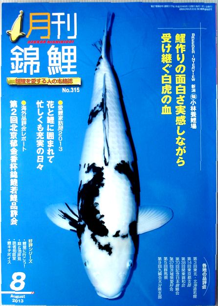 【中古】月刊　錦鯉　2013年8月号　No.315◆小林養鯉場◆愛鯉家訪問