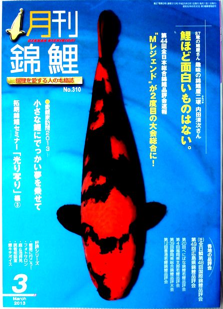 楽天市場】月刊錦鯉（本・雑誌・コミック）の通販