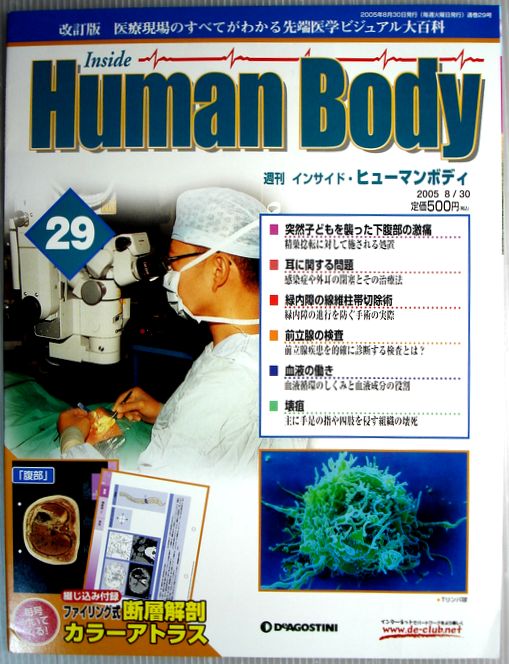 乐天商城 - 【中古】週刊　インサイド・ヒューマンボディ　2005年8月30日号　No.29