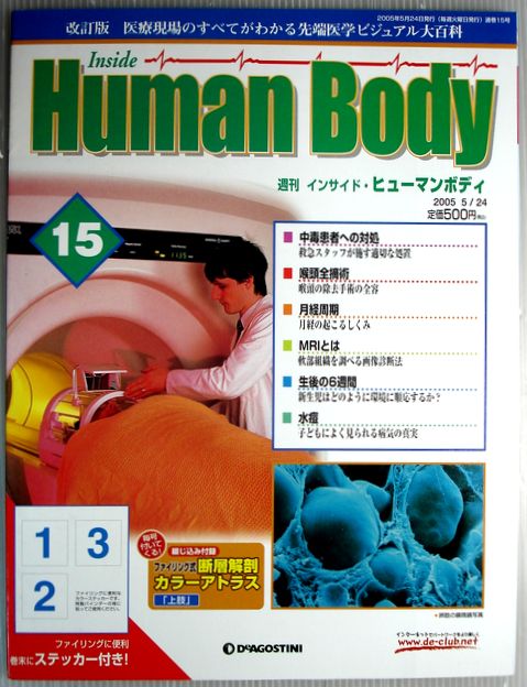 【中古】週刊　インサイド・ヒューマンボディ　2005年5月24日号　No.15。 発行所：デアゴスティーニ。2005年5月24日発売。商品サイズ：29×22×0.3cm。 【コンデション＝非常に良い】綴じ込み付録付き。本体、中身は破れや書き込みなく良好です。定価500円。【中古】週刊　インサイド・ヒューマンボディ　2005年5月24日号　No.15。 発行所：デアゴスティーニ。2005年5月24日発売。商品サイズ：29×22×0.3cm。 【コンデション＝非常に良い】綴じ込み付録付き。本体、中身は破れや書き込みなく良好です。定価500円。