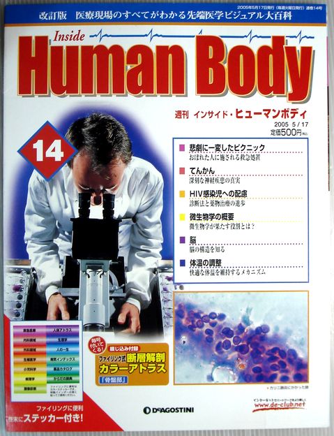 【中古】週刊　インサイド・ヒューマンボディ　2005年5月17日号　No.14