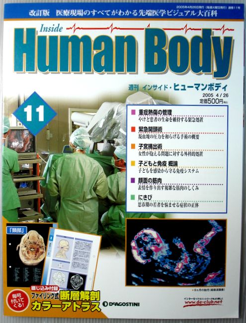 【中古】週刊　インサイド・ヒューマンボディ　2005年4月26日号　No.11