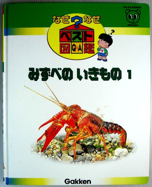 乐天商城 - 【送料無料 中古】なぜなぜベスト図鑑　5　みずべのいきもの　1