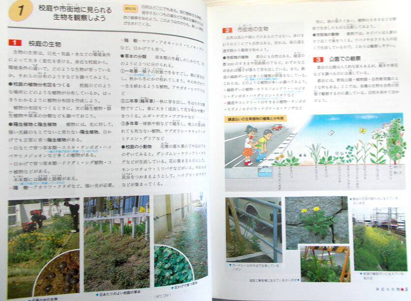 【中古】スーパー理科事典　知りたいことがすぐわかる　改訂版