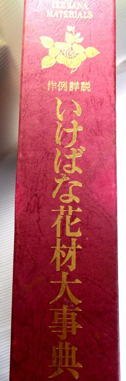 作例詳説　いけばな花材大事典