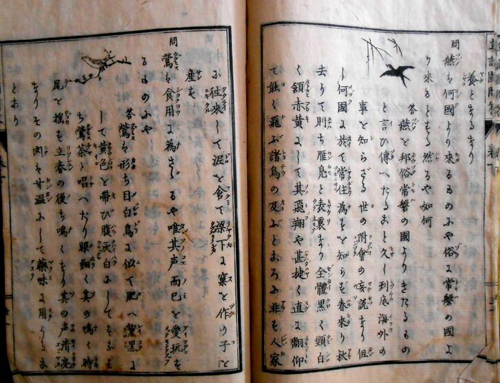 【古書】草語図問答　下