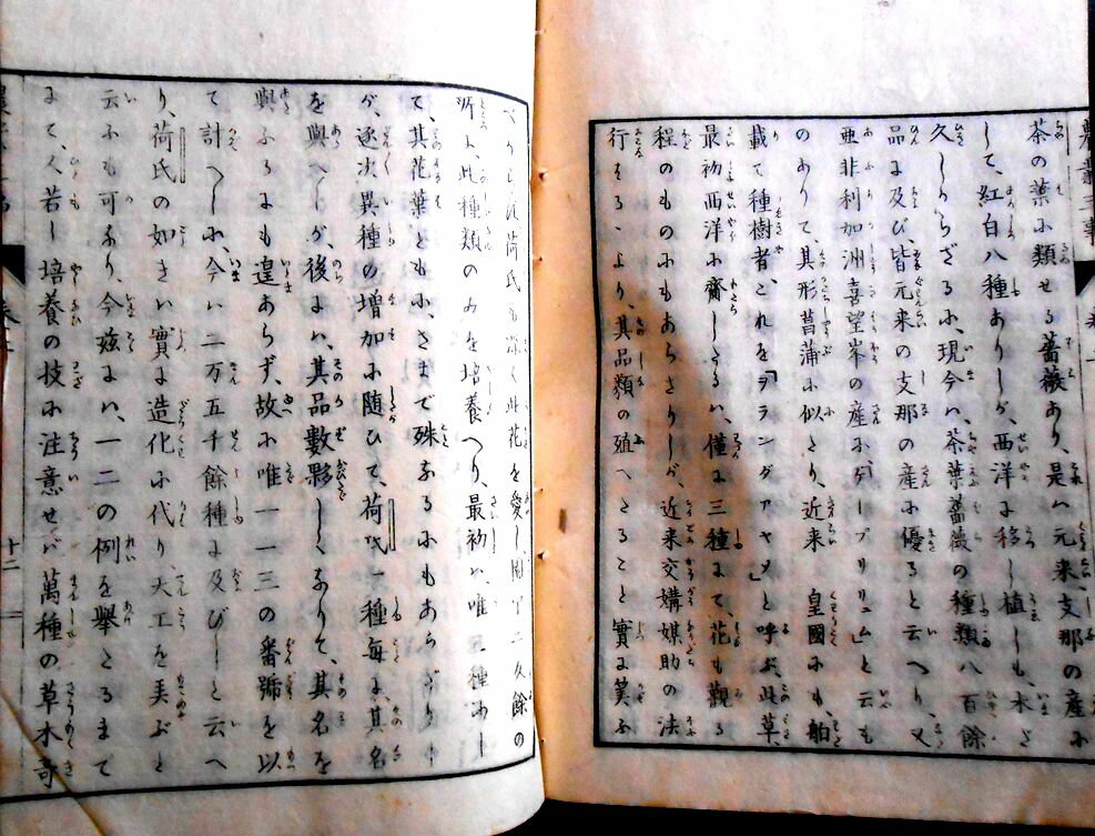 �ڸŽ�������硡���Ȼ�������Ƿ�󡡲�