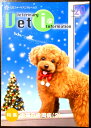 DSファーマルヘルス Vet i(ヴェットアイ) 2017 No.20 ■特集:犬猫の歯周病(2)