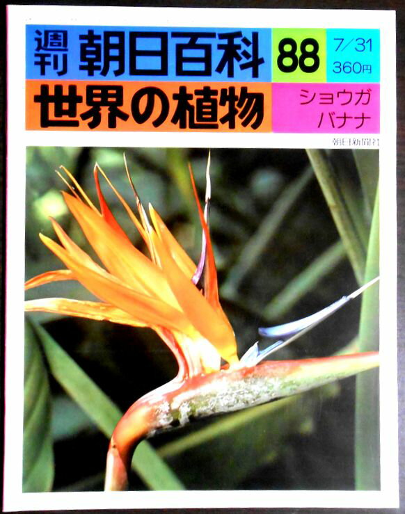 【送料無料】【中古】週刊　朝日百科　88　世界の植物　ショウガ　バナナ