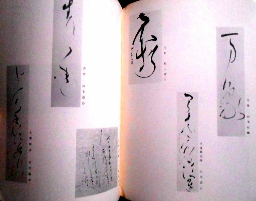 ������̵���ۡ���š���������Ÿ