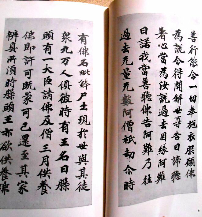 ������̵���ۡ���š�ŷʿ��崽�������̾���Ѵ�