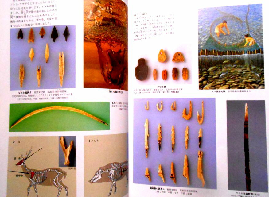 【送料無料】【中古】東北歴史博物館　展示案内