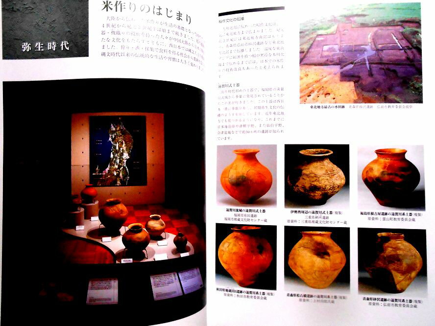 【送料無料】【中古】東北歴史博物館　展示案内