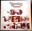【送料無料 】【中古LPレコード】荒井由実 YUMING BRAND(ユーミン・ブランド) 「あの日にかえりたい」「ルージュの伝言」など全10曲