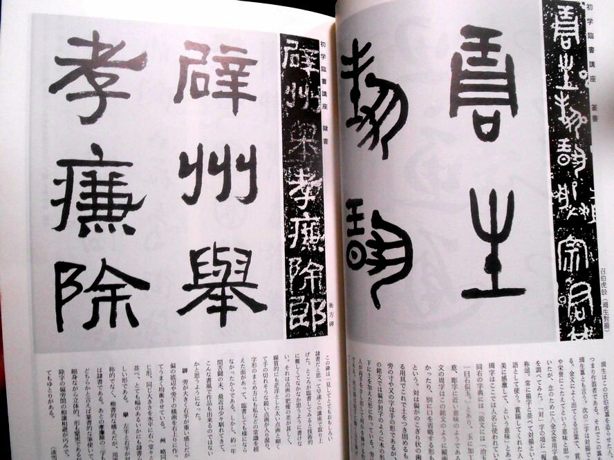 ������̵���ۡ���šۿ���ա�1993ǯ1���