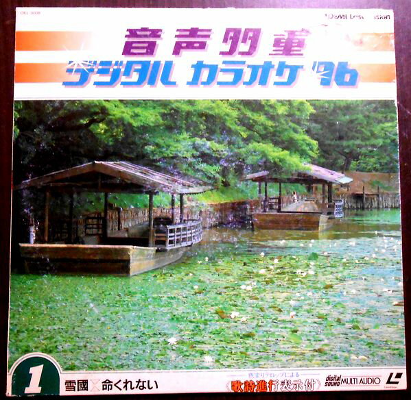 【あす楽】【送料無料】【中古レーザーディスク】雪国・命くれない　音声多重　デジタルカラオケ 96 Vol.1 全24曲