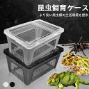 昆虫飼育ケース 爬虫類飼育ケース 小型 コンテナ ボックス 空気穴付き 昆虫 小動物・卵 幼虫 繁殖 多種多様な爬虫類に対応