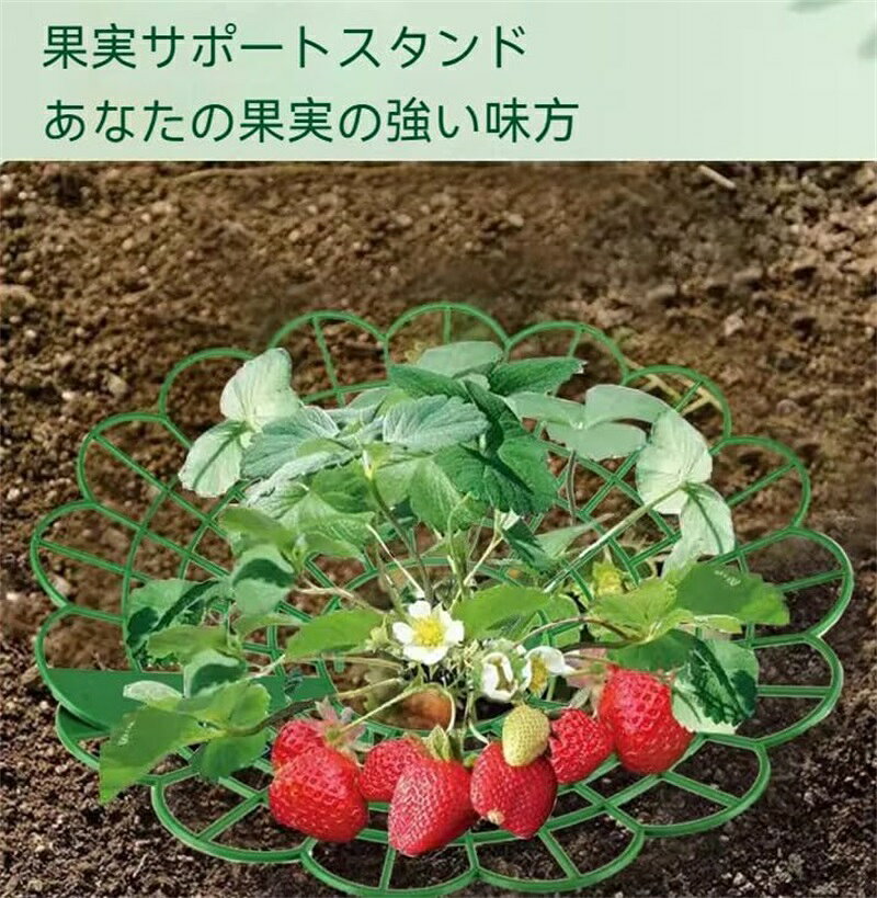 VanTiPの15個セットイチゴサポート イチゴ栽培用プラスチックサポートスタンド ちごプランター棚 腐った果実対策 組立簡単 家庭菜園 自宅栽培 農園用｜アングル2