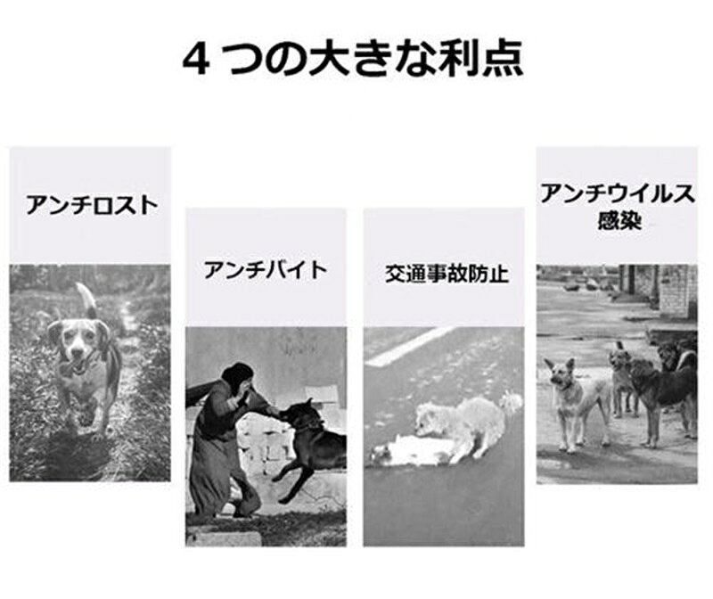 防爆反射 犬用リーシュ 犬用リード ショック吸収 大型犬 訓練 伸縮 散歩 犬リード ...