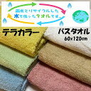 GWセール バスタオル 新生活 お風呂 綿 コットン 安い ポイント消化 エコテックス 60x120cm ナチュラル ふわふわ テラカラー バスタオル