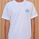オリジナル Tシャツ 白 ワンポイント カラープリント S、M、L、2L、3L、4L、5L チーム グッズ ノベルティ 誕生日 母の日 父の日 記念品