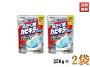 ジョンソン 洗たく槽カビキラー 強力洗浄 粉末 非塩素系 250g 除菌 消臭 2袋セット 送料無料