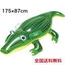 浮き輪 ワニフロート 175×87cm グリップ付き 送料無料